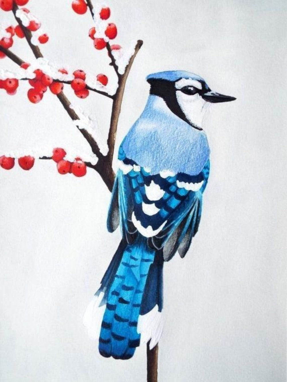 Blue Jay | Diamond Painting