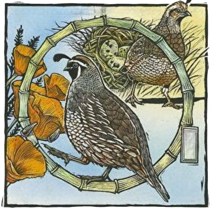 Quail | Diamond Painting