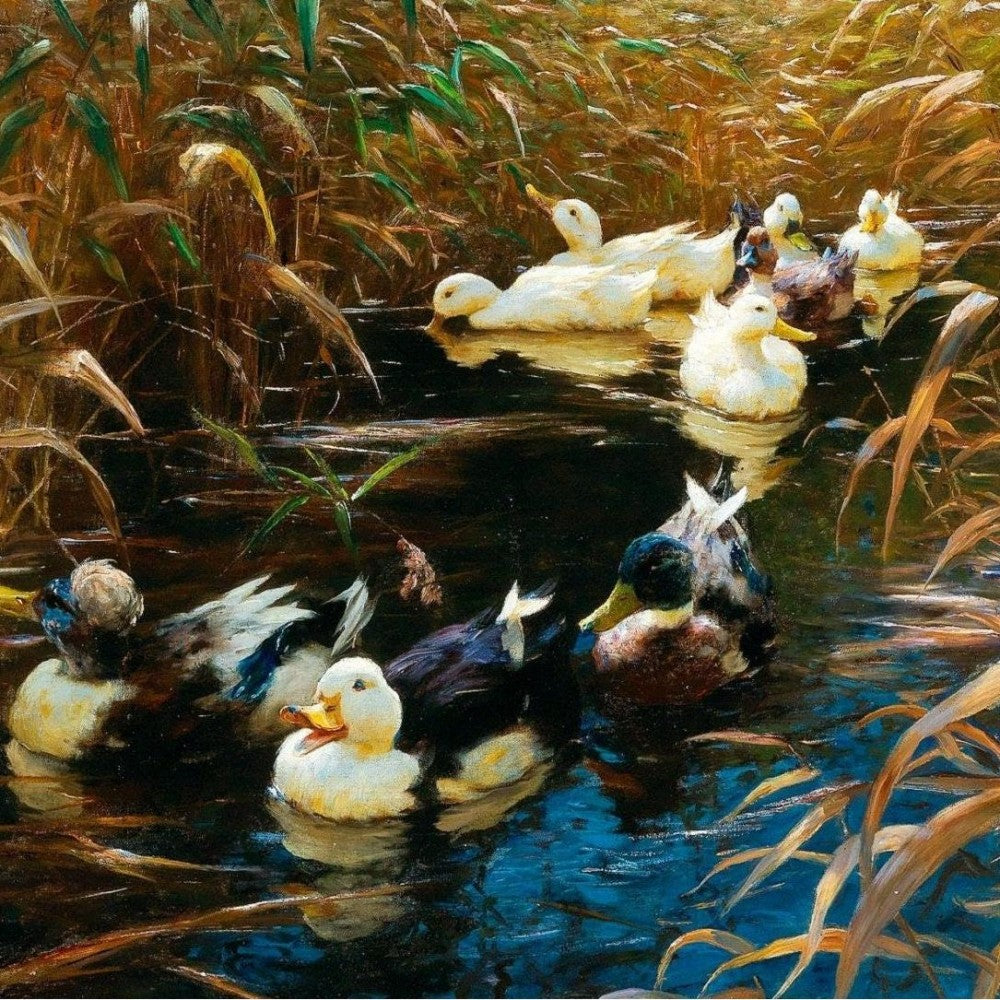 Duck | Diamond Painting