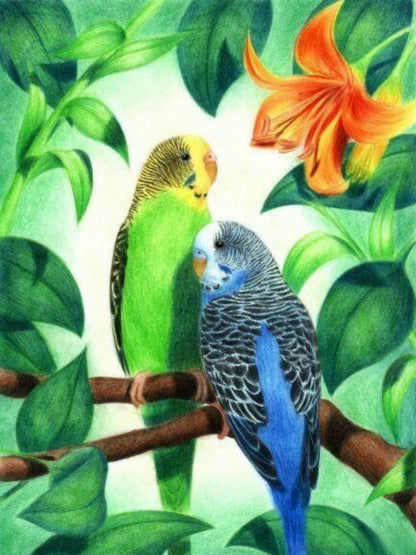 Budgie | Diamond Painting
