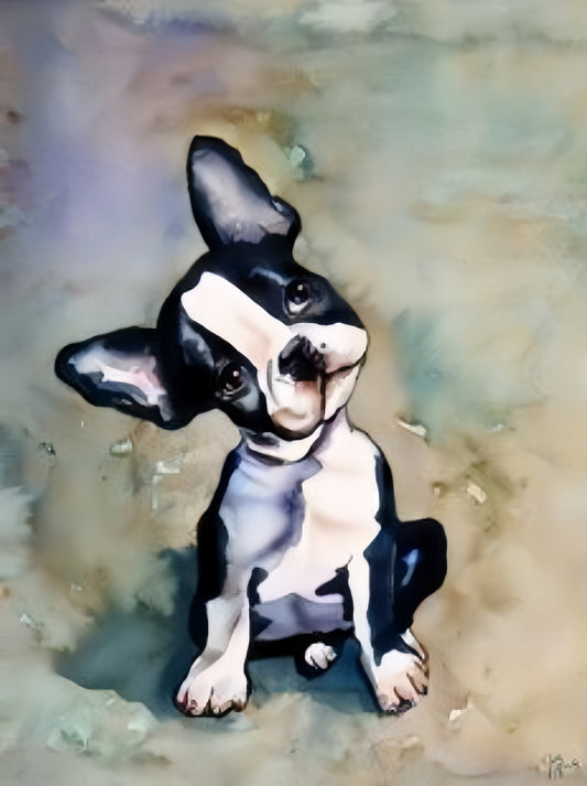 Boston Terrier Dog | Diamond Painting