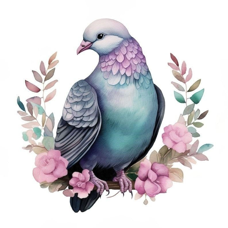 Pigeon | Diamond Painting