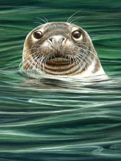 Seal | Diamond Painting