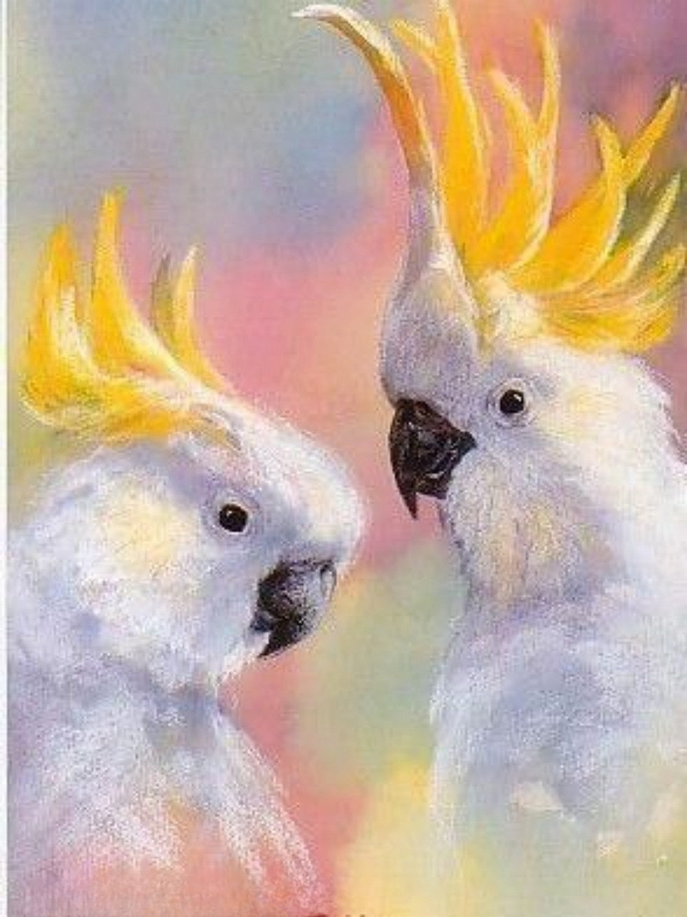 Cockatoo | Diamond Painting