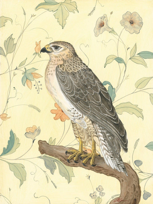 Falcon | Diamond Painting