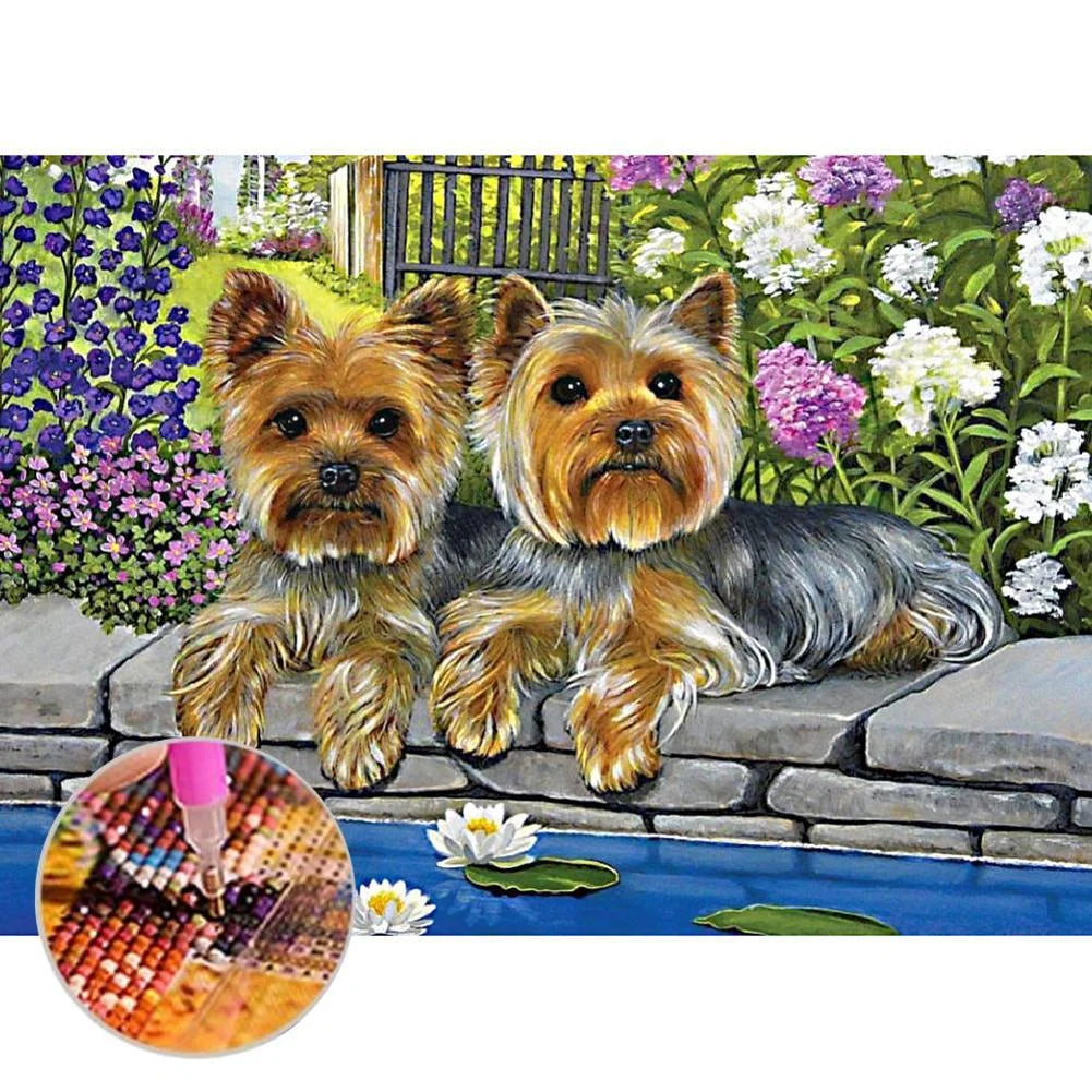 Two Dogs Yorkie | Diamond Painting
