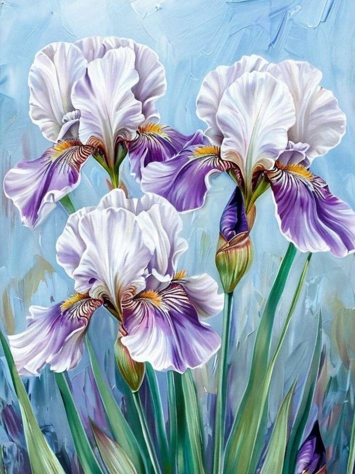 Iris | Diamond Painting