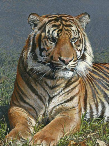 Bengal Tiger | Diamond Painting