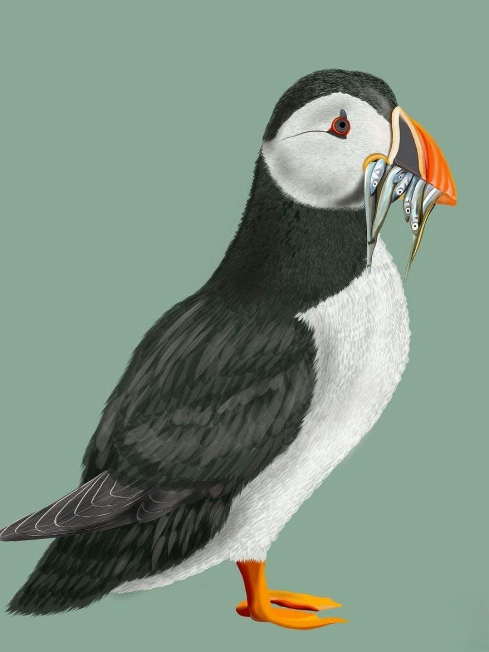 Puffin | Diamond Painting