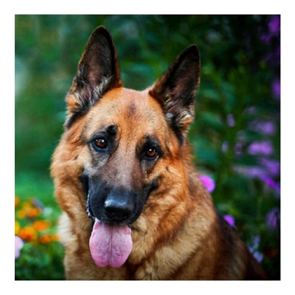 Big Dog German Shepherd | Cross Stitch Embroidery