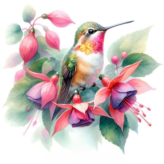 Hummingbird | Diamond Painting