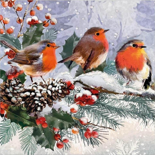 Robin Bird | Diamond Painting