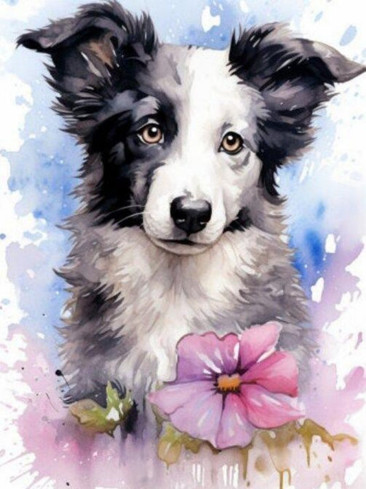 Dog Border Collie | Diamond Painting
