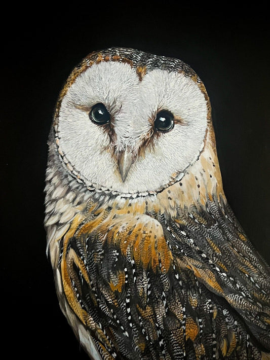 Barn Owl | Diamond Painting