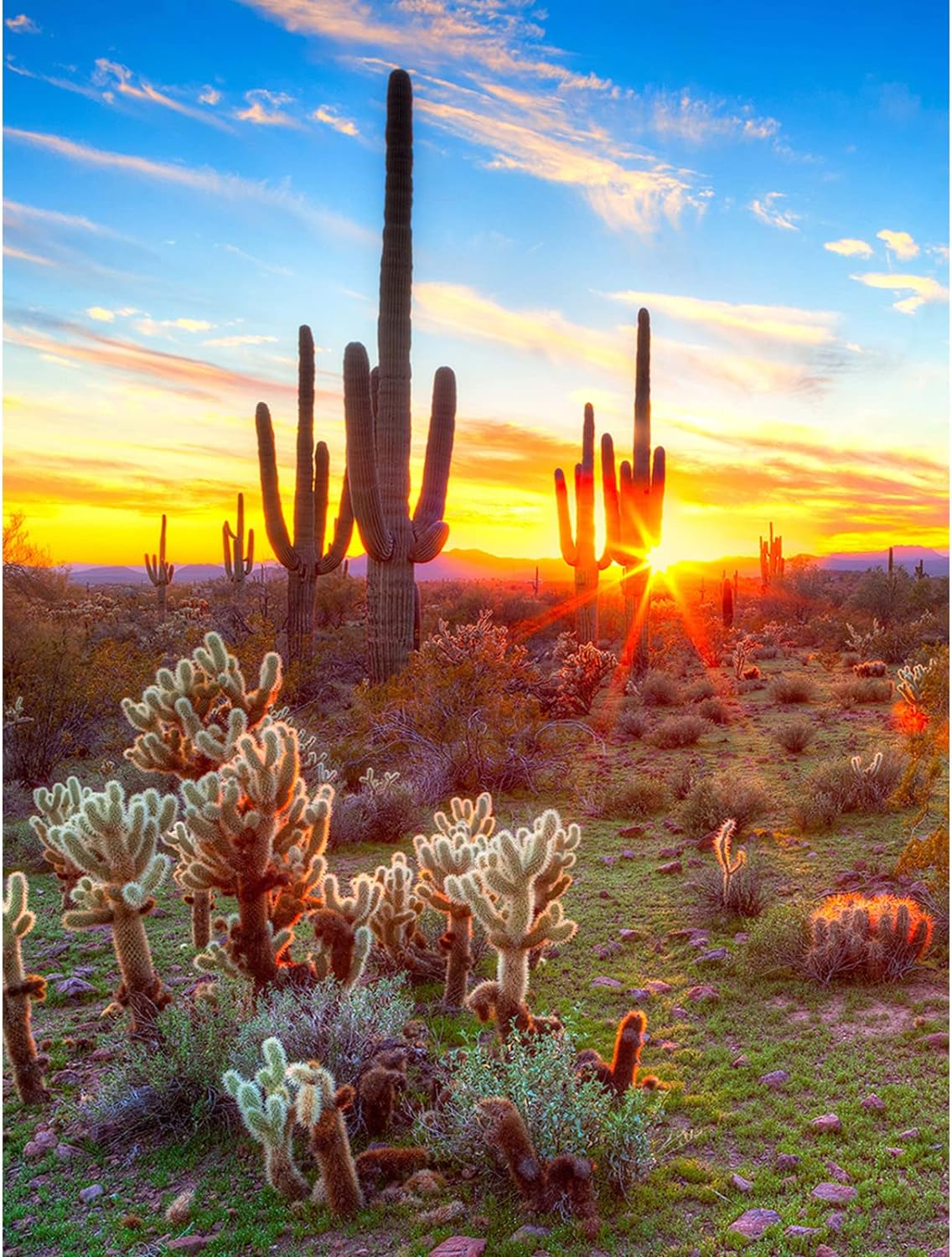 Cactus | Diamond Painting