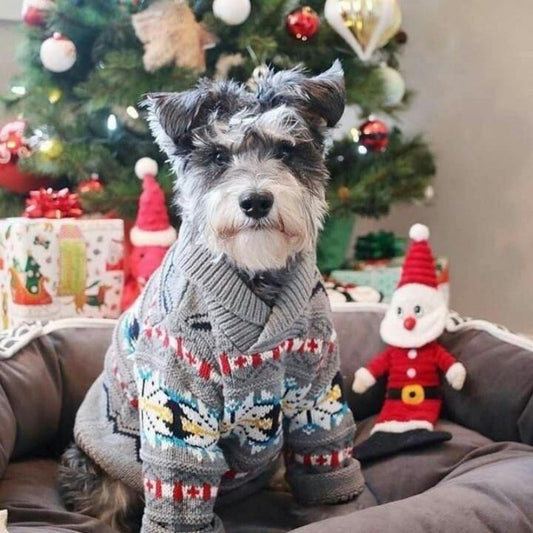 Dog Schnauzer | Diamond Painting