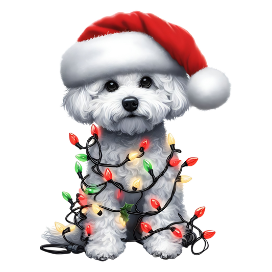 Havanese Dog | Diamond Painting