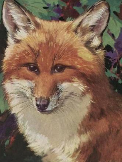 Fox | Diamond Painting