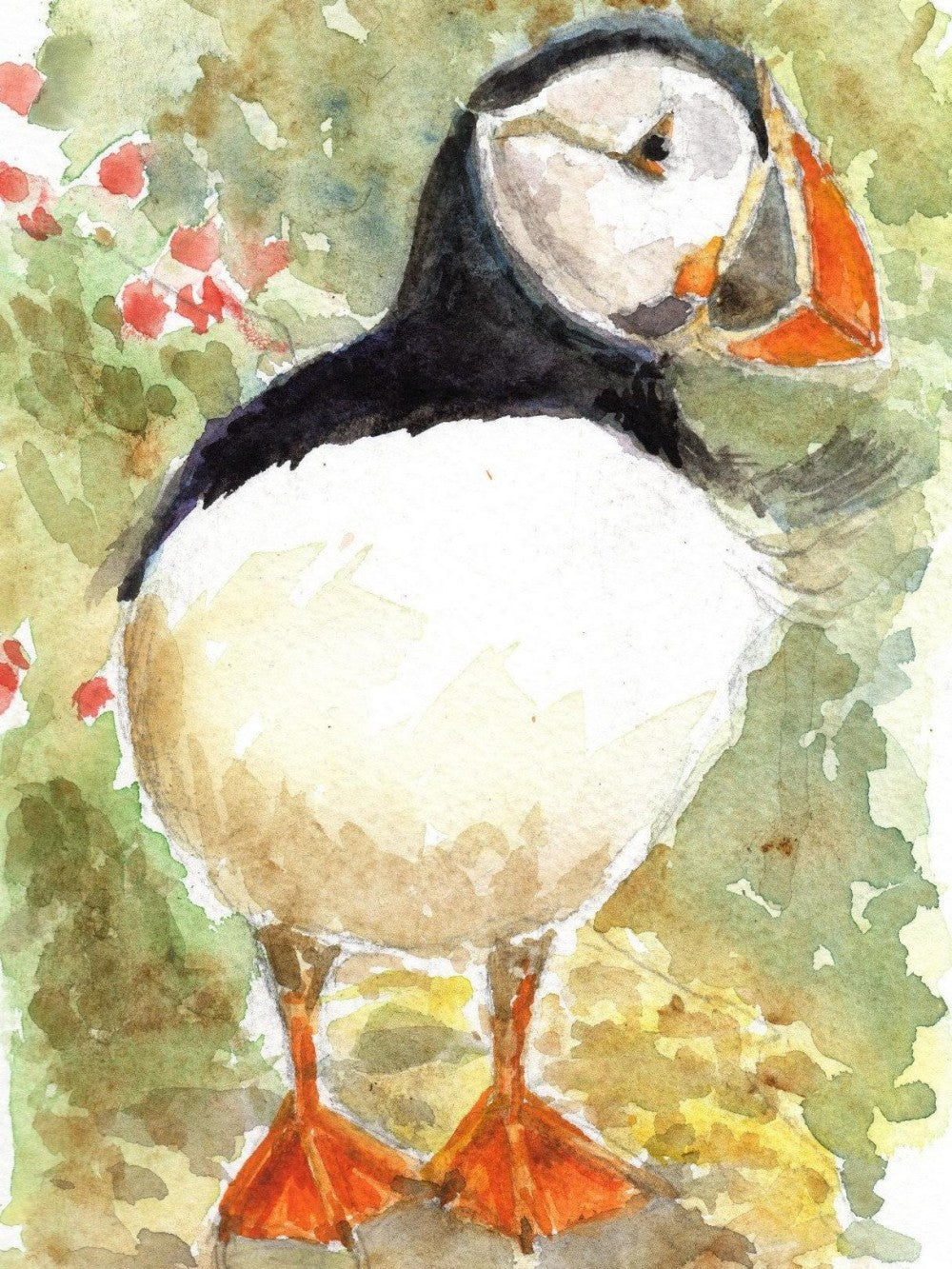 Puffin | Diamond Painting