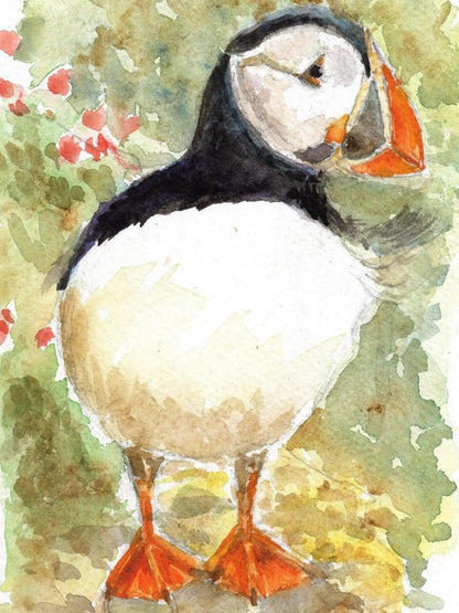 Puffin | Diamond Painting