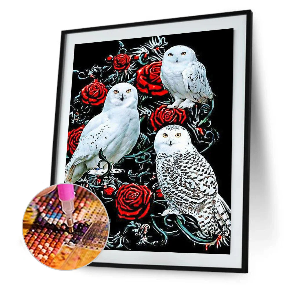 White Owl | Diamond Painting