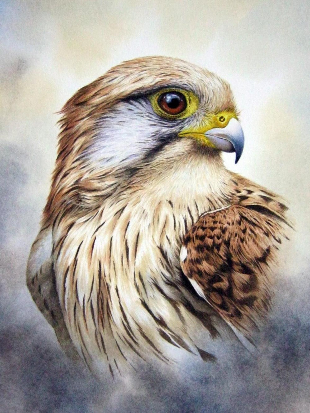 Falcon | Diamond Painting