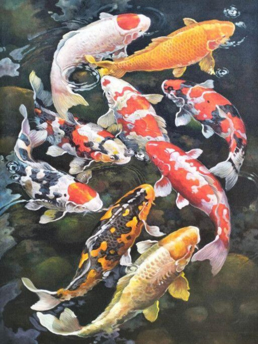 Koi Fish | Diamond Painting