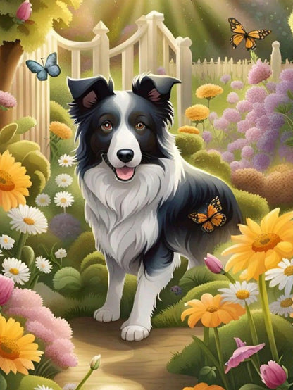 Dog Border Collie | Diamond Painting