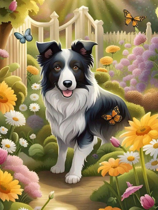 Dog Border Collie | Diamond Painting