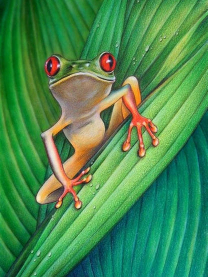 Frog | Diamond Painting