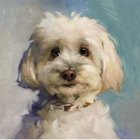 Havanese Dog | Diamond Painting