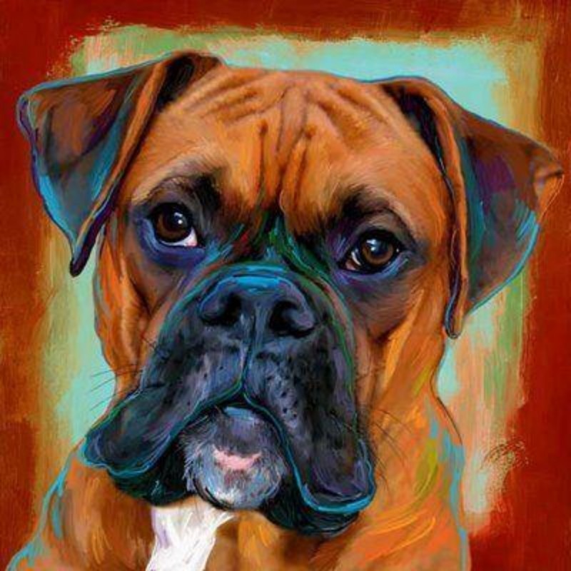 Boxer Dog | Diamond Painting