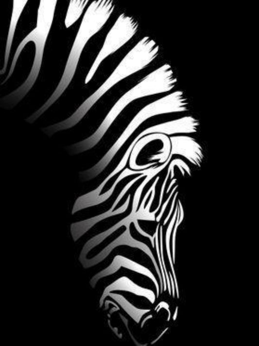 Zebra | Diamond Painting