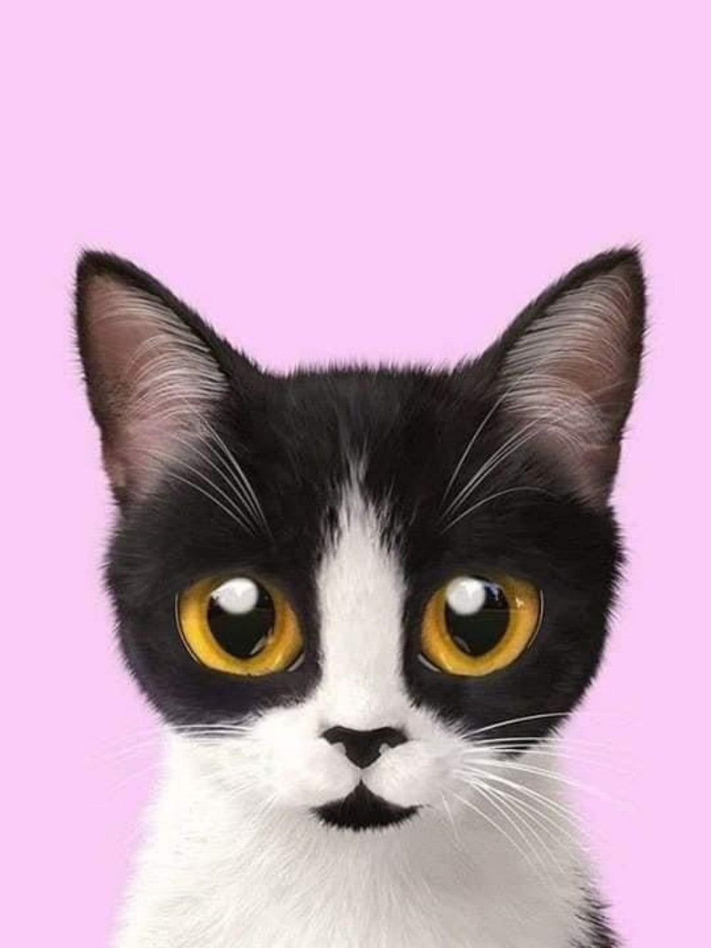 Tuxedo Cat  | Diamond Painting