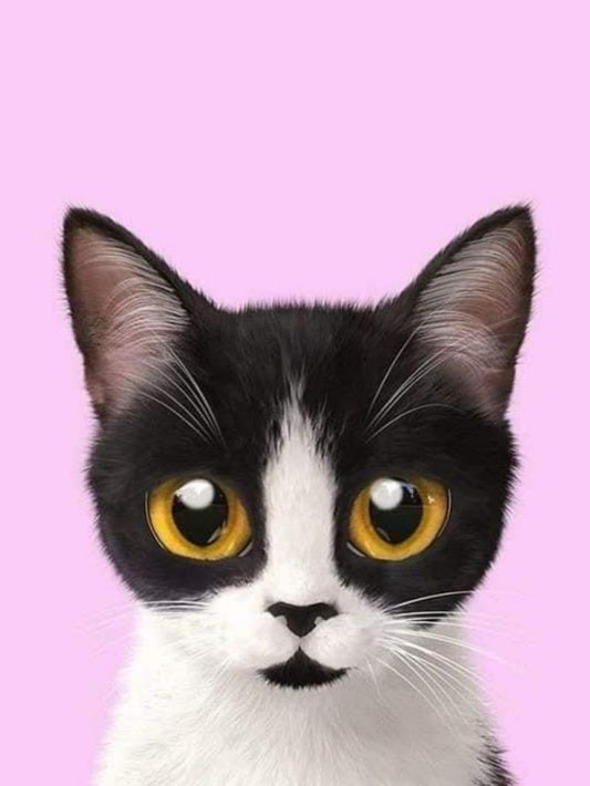 Tuxedo Cat  | Diamond Painting