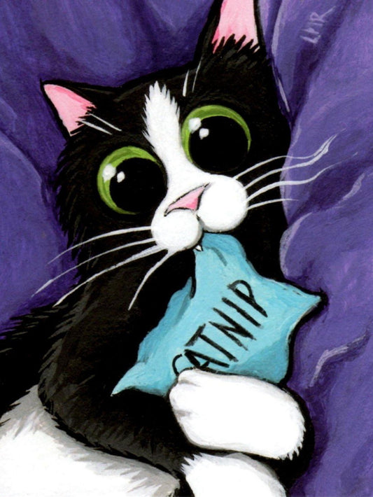 Tuxedo Cat  | Diamond Painting