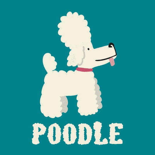 Poodle Dog | Diamond Painting