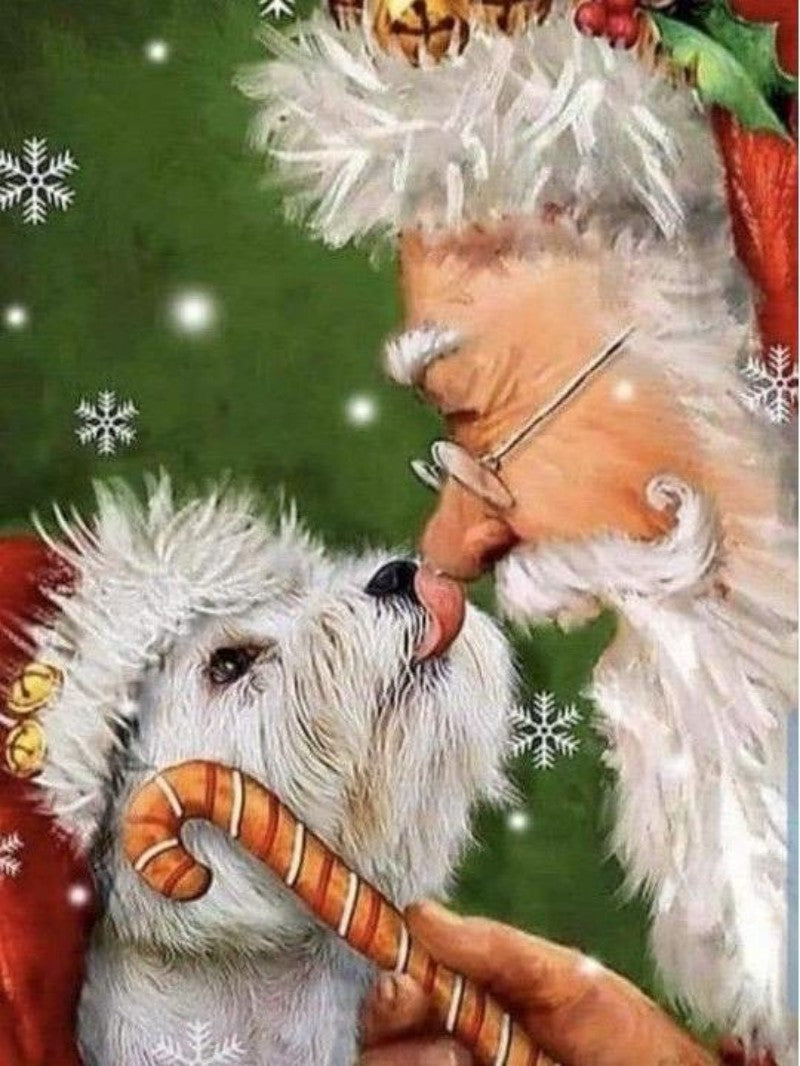 Havanese Dog | Diamond Painting