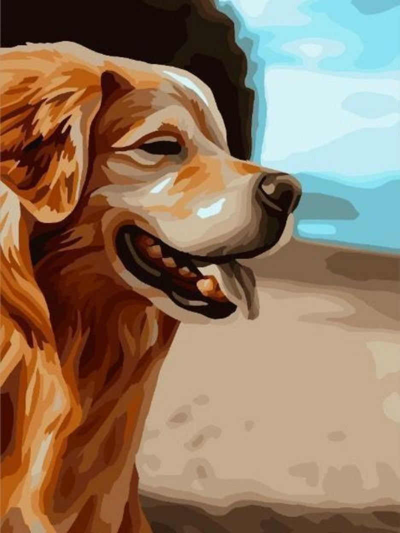 Golden Retriever Dog | Diamond Painting