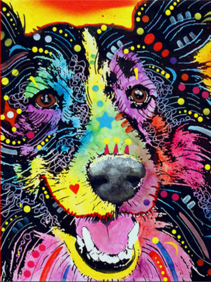 Dog Border Collie | Diamond Painting