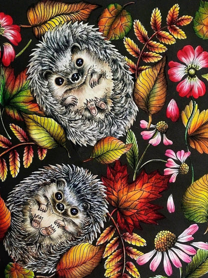 Hedgehog | Diamond Painting