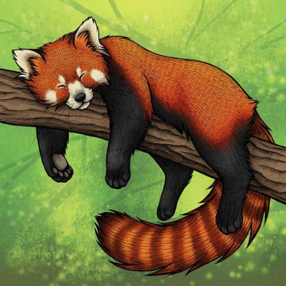 Red Panda | Diamond Painting
