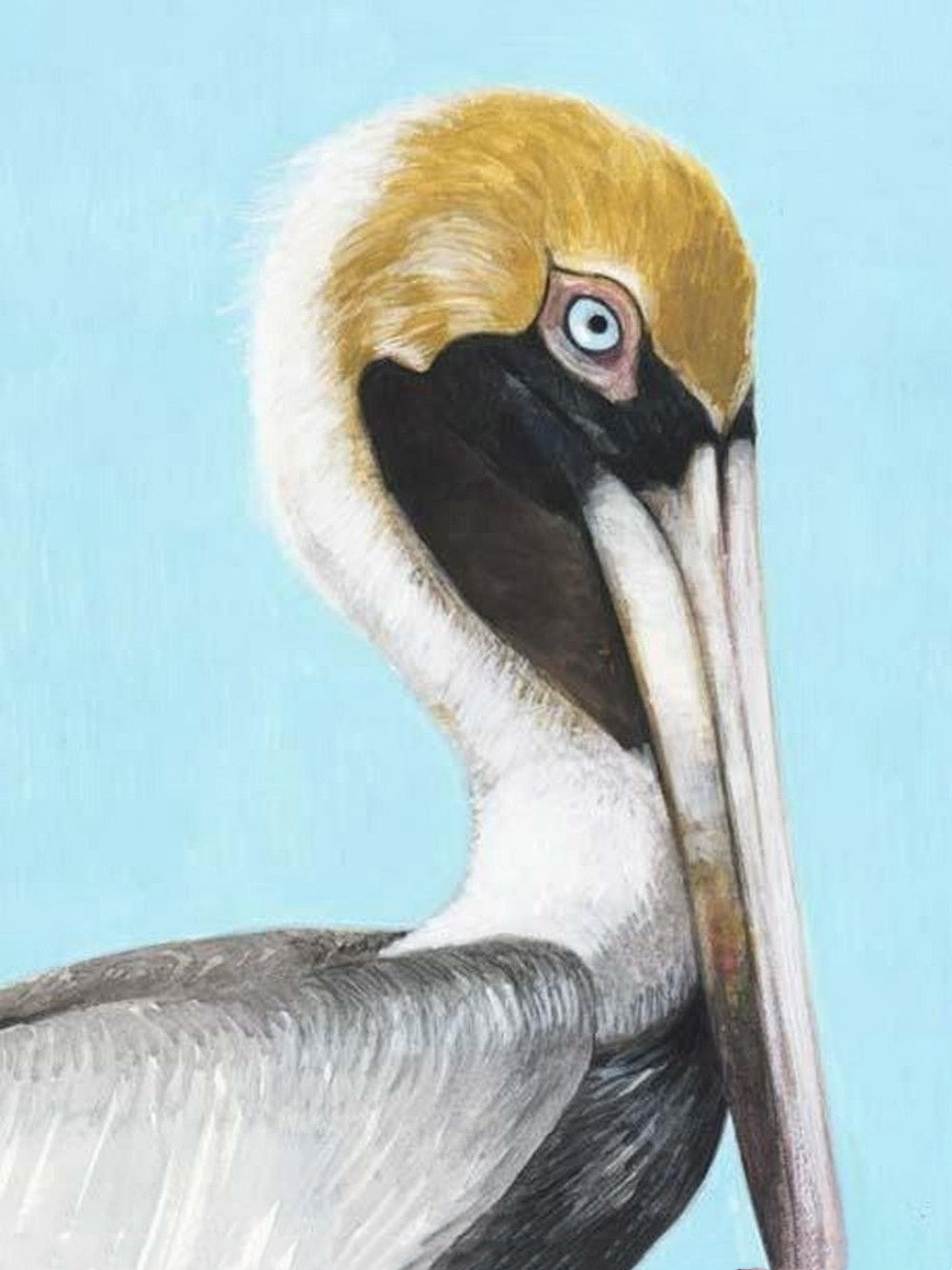 Pelican | Diamond Painting