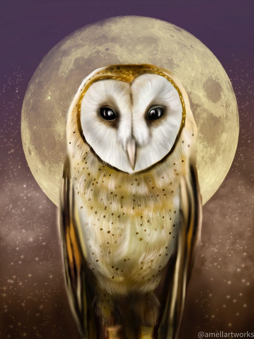 Barn Owl | Diamond Painting