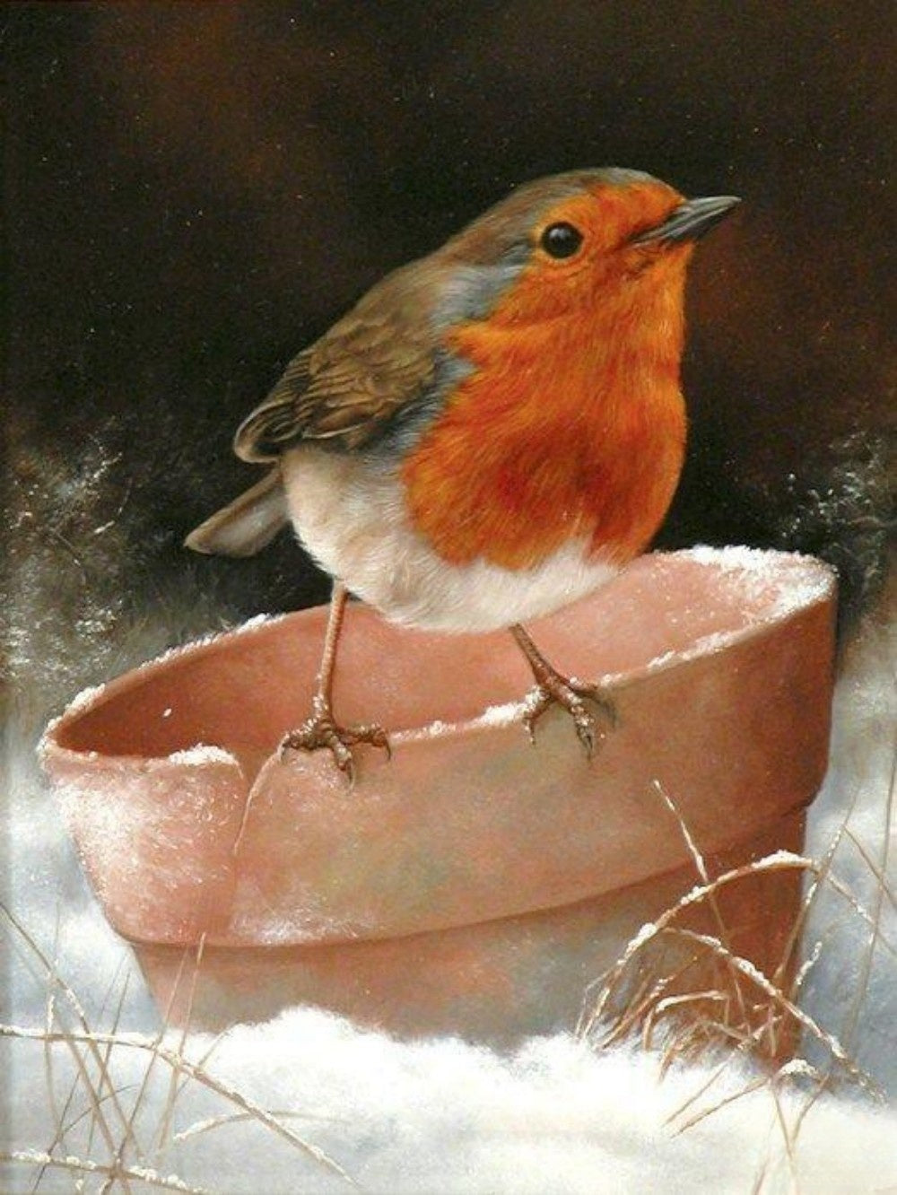 Robin Bird | Diamond Painting