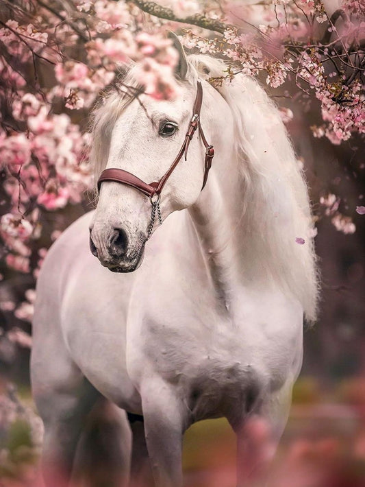 Horse | Diamond Painting