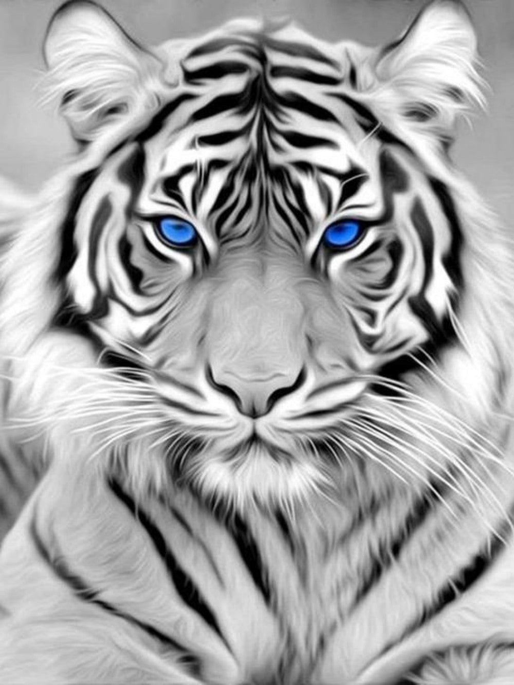 White Tiger | Diamond Painting