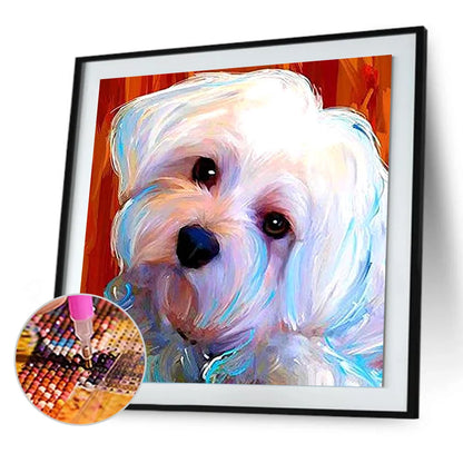 White Dog Shih Tzu | Diamond Painting