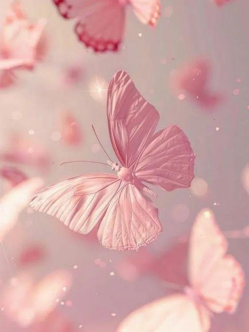 Butterfly | Diamond Painting