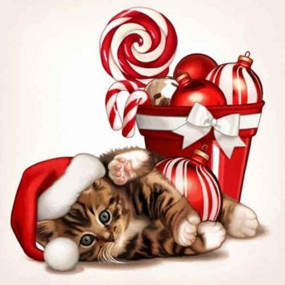 Christmas cat | Diamond Painting